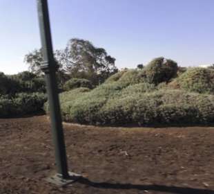 Stadtrundgang El Gouna