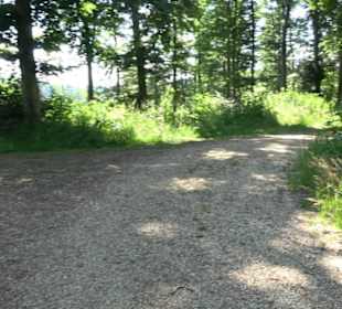 Burg Hölnstein Stetten u. Holstein