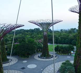 Gardens by the Bay