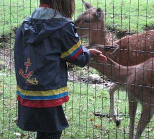 Hirschgarten
