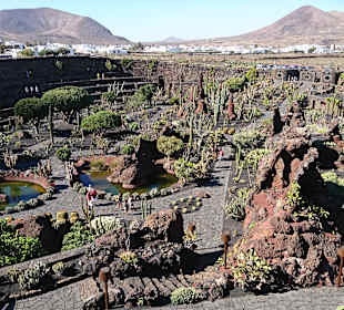 Jardin de Cactus / Kaktusgarten Guatiza