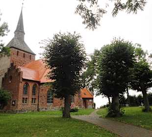 Wygląd zewnętrzny