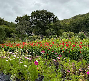 Glenveagh National Park