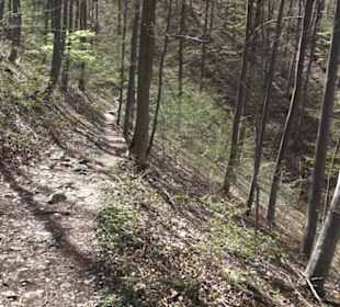 Wanderweg Hochgehkämpft