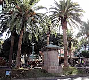 Altstadt - Plaza del Charco