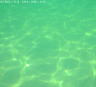 Strand Playa/Platja de Muro