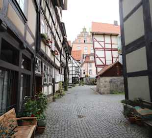 Impressionen Sydekum