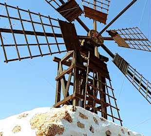 Inselrundfahrt Tagesausflug