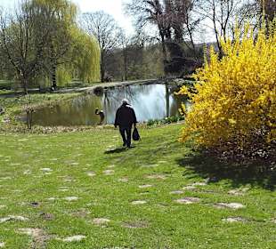 Frühling im Westfalenpark Dortmund