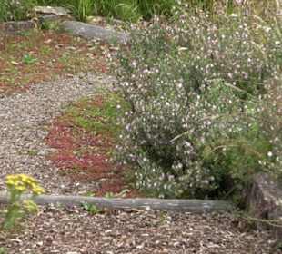 ALB-GOLD Naturgarten