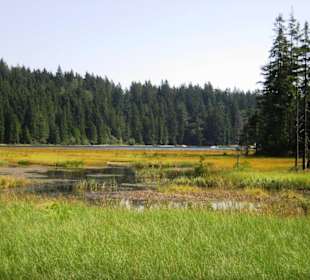 Westrand des Arbersees