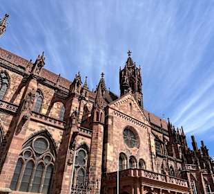 Freiburger Münster