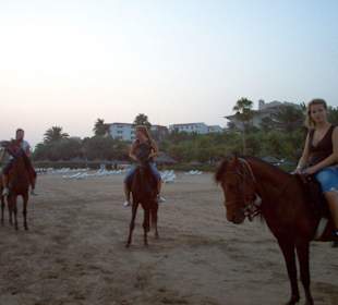 Reiten am Strand