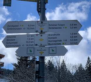 Wandern Bannwald Baiersbronn
