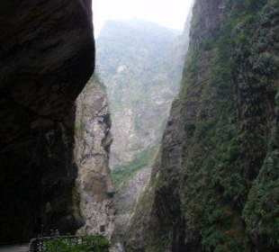 Taroko