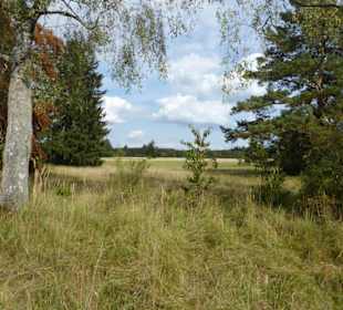  Mallertshofener Heide