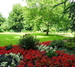 Hochsommer im Kurpark Bruchhausen-Vilsen