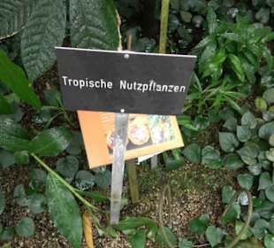 Tropicarium