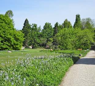 Rundgang durch den Berggarten Hannover