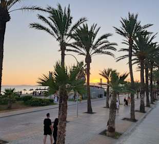 Strandpromenade Playa/Platja de Palma