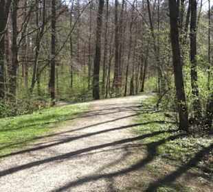Sport- und Freizeitpark Markwasen