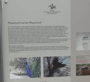 Voliére auf der Pfaueninsel