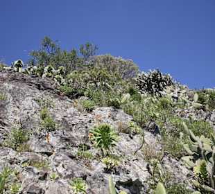 Wanderung durch das Tenogebirge