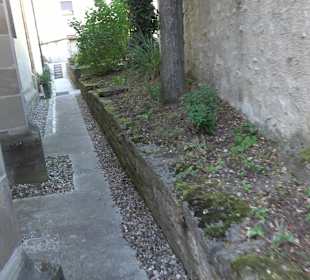 Ruine der Walpurgiskirche