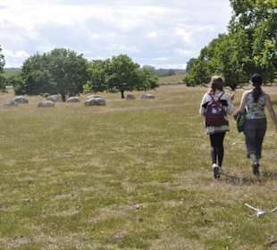 Walk together along some of Sweden's trails.
