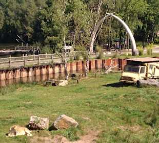 Safariepark