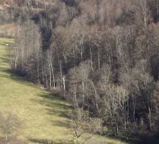 Wandertour Eppenzill