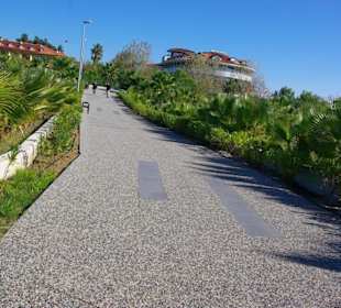 Weg zum Alba