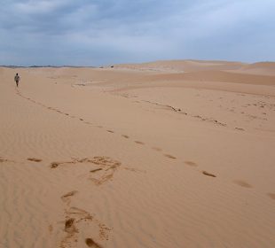 White Sand Dunes