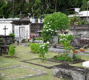 Rundgang über den alten Friedhof am Meer