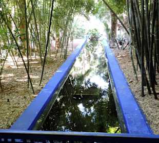 Ogród Majorelle