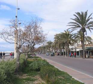 Playa de Palma