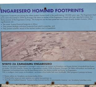 Hominid Footprints at Engaresero in Lake Natron