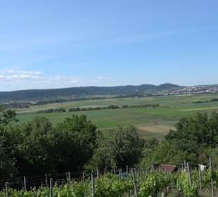 Früchtetrauf - Wurmlinger Kapellenwegle