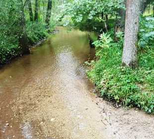 Im Wasser kann man auch gehen