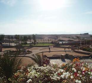 Blick auf Sharm el Naga