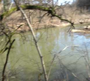 Hängebrücke im Fürstlichen Park