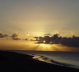 Drachen über Maspalomas