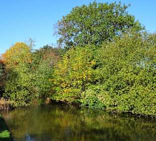 Rundgang durch den Botanischen Garten Hamburg
