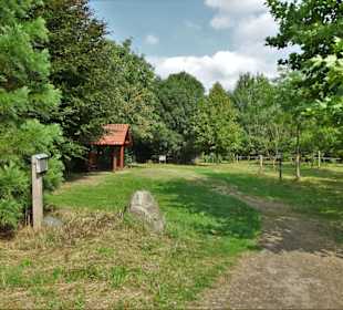 Impressionen aus dem Arboretum Wildeshausen