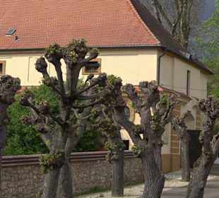 Schloss Wallerstein