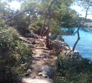 Küstenwanderung Cala Mondrago in Cala Mondrago