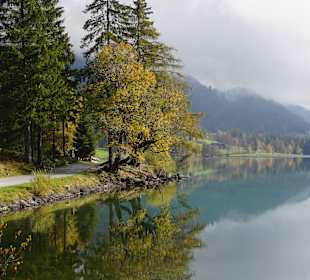 Ahornsee
