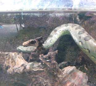 Tierpark Hellabrunn in München