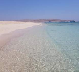 Mahmya