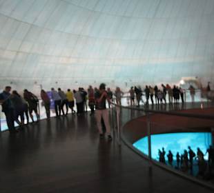 Aquarium / Oceanongrafic